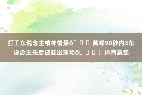 打工东说念主精神情景💀黄蜂90秒内3东说念主先后被赶出球场😂！体育集锦