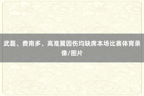 武磊、费南多、高准翼因伤均缺席本场比赛体育录像/图片