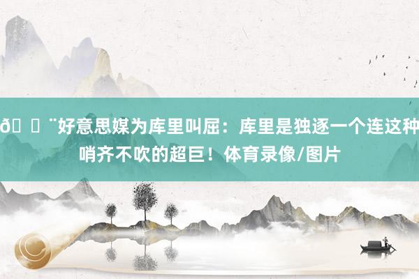 😨好意思媒为库里叫屈：库里是独逐一个连这种哨齐不吹的超巨！体育录像/图片