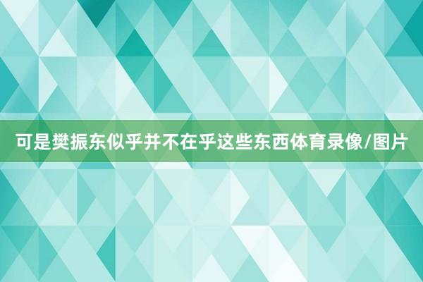 可是樊振东似乎并不在乎这些东西体育录像/图片