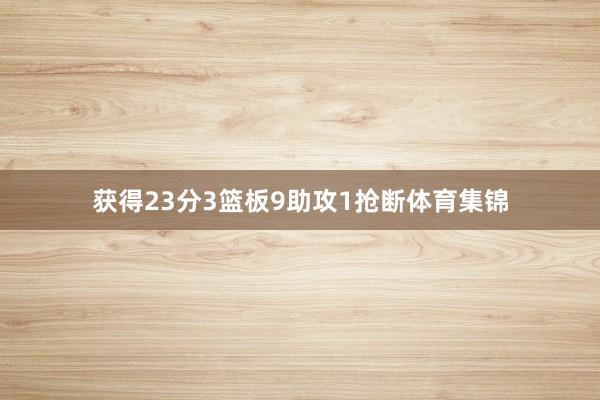 获得23分3篮板9助攻1抢断体育集锦