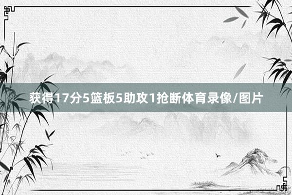 获得17分5篮板5助攻1抢断体育录像/图片