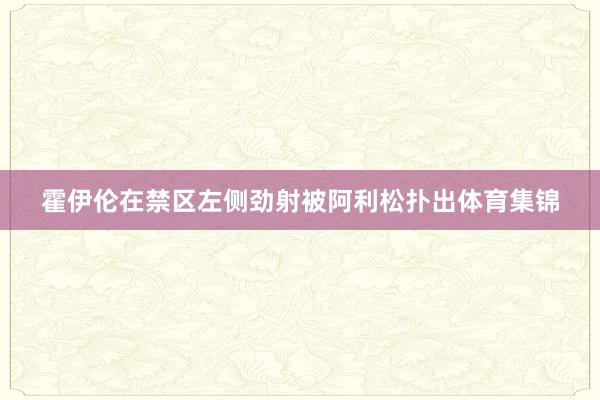 霍伊伦在禁区左侧劲射被阿利松扑出体育集锦