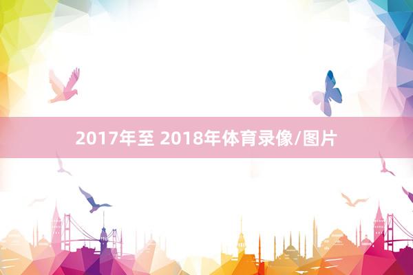 2017年至 2018年体育录像/图片